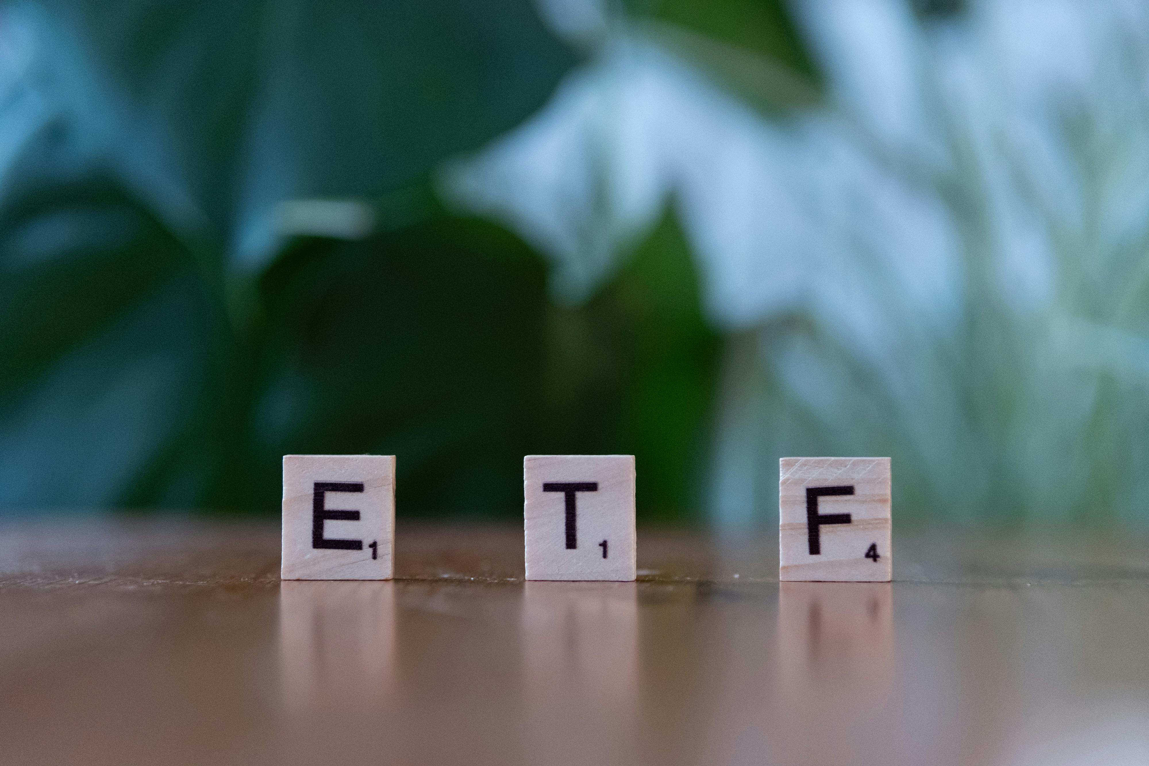 South African investor reviewing an ETF portfolio showing market concentration and diversification